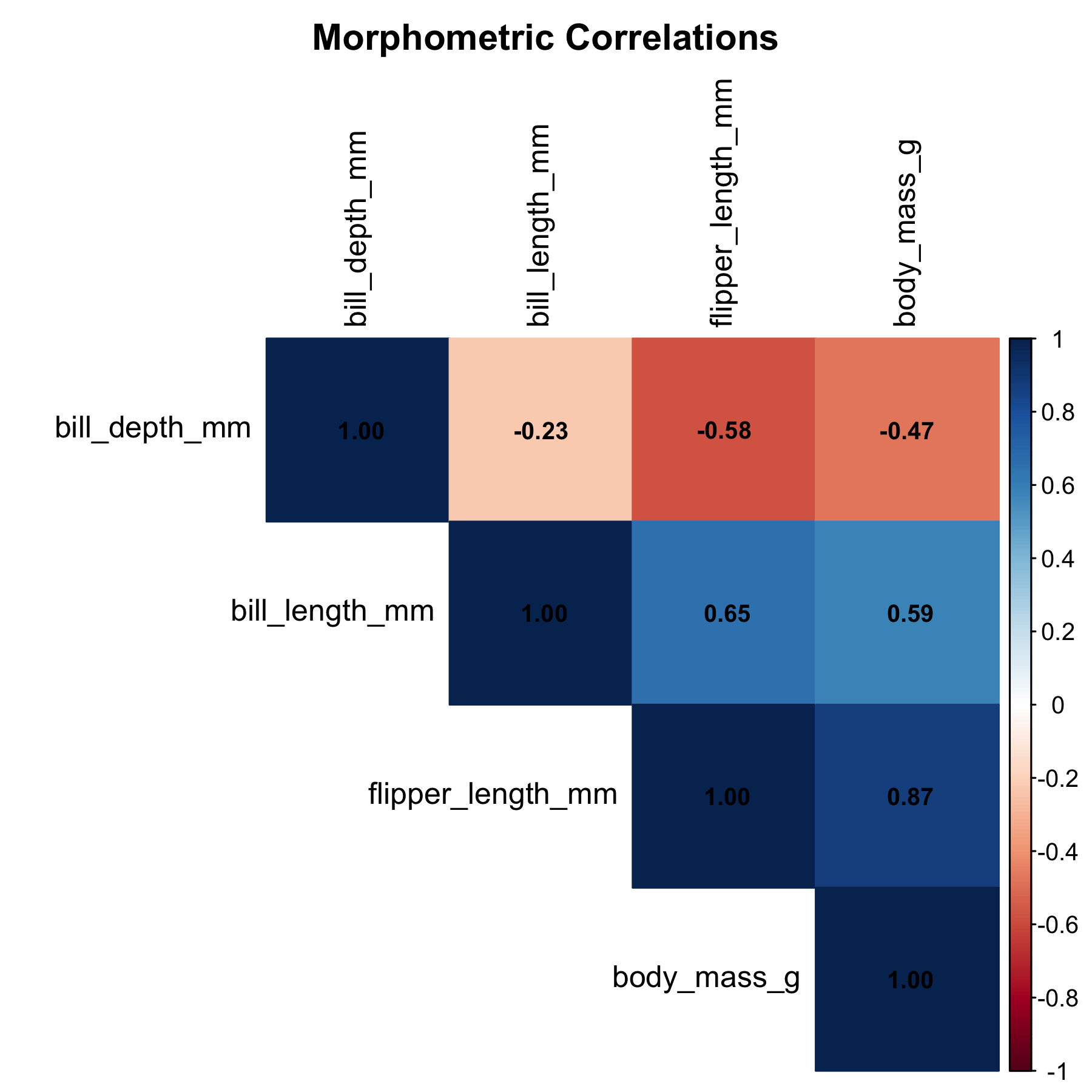 Upper triangular correlation matrix heatmap showing pairwise correlations among bill length, bill depth, flipper length, and body mass. The flipper length to body mass cell has the highest value at 0.87.